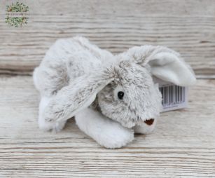 flower delivery Budapest - Plush bunny 14 cm