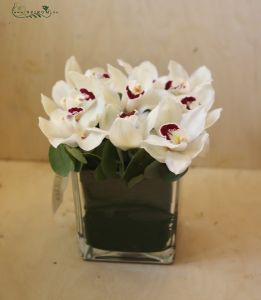 glass cube with 9 white orchids