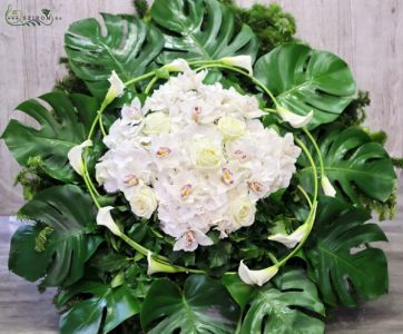 wreath with white hydrangeas, orchids, roses, and curved calla (33 st)