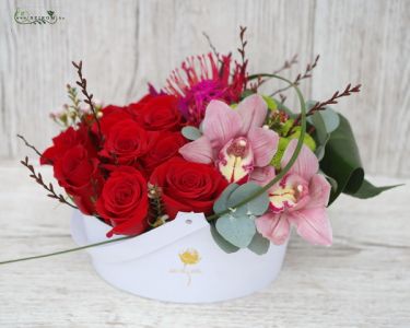 Flowerbox with 11 red roses, orchids, pincushion protea