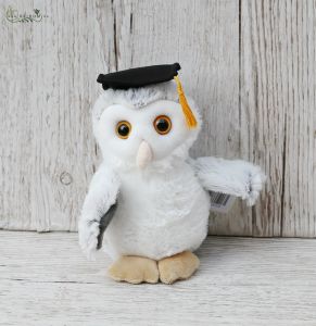 plush graduation owl (18cm)