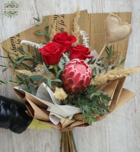 Red roses with silky South African Protea flower