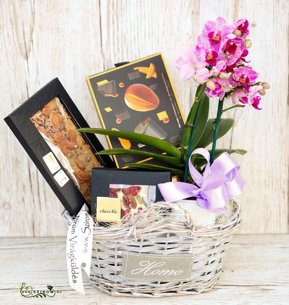 Ajándékkosár miniorchideával, különleges csokoládékkal 