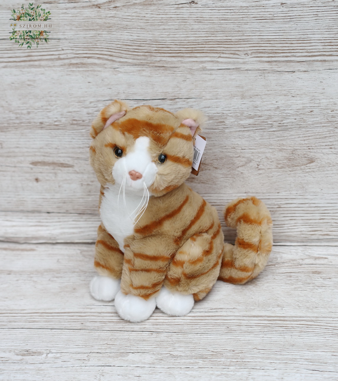 flower delivery Budapest - Plush Cat 28cm