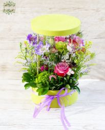 flower delivery Budapest - Purple meadow flower box (17 stems)
