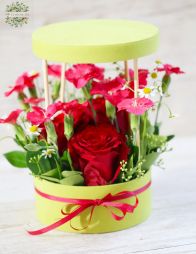 flower delivery Budapest - Small box with 3 red roses, solomio dianthusses, chamomiles