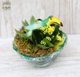 flower delivery Budapest - Plant arrangement, echeveria, Kalanchoe, perrot in rustic glass, 15cm