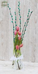 flower delivery Budapest - Tulips in glass cylinder with catken (7 stems)