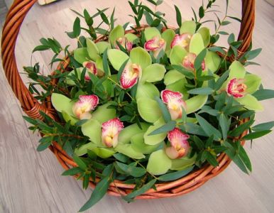 green orchid basket (30cm)