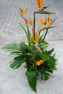 an exotic arrangement