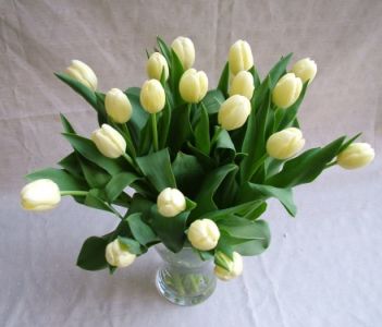 20 Tulpen in einer Vase