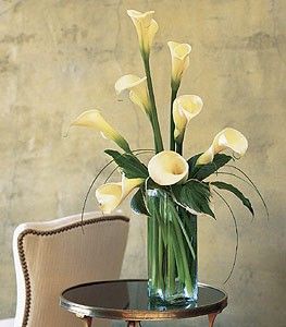 10 stems of big, white callas in a bouquet