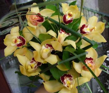 sárga orchidea gömbcsokor