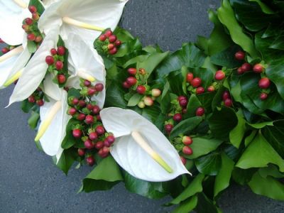 ivy wreath with white flamingo flowers and hypericums (60 cm)