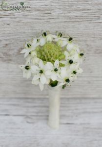 Boutonniere (ornitogalum, white)