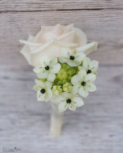 Boutonniere of Ornithogalum and rose (white and creme)