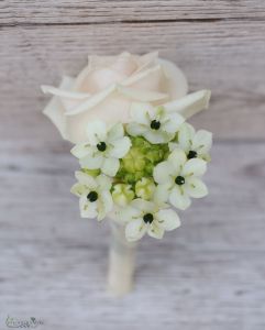 vőlegénykitűző (rózsa, ornithogalum, fehér, krém)