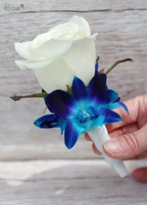 Boutonniere of rose, Dendrobium orchyd (white, blue)