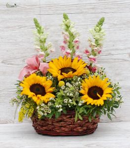 Little basket of sunflowers and snapdragons