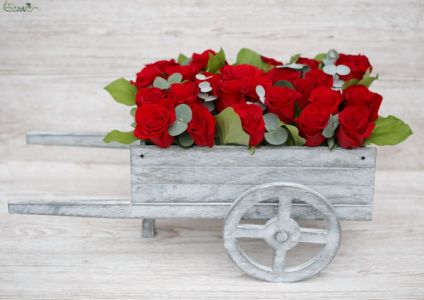 A barrow full of red roses (35 stems)