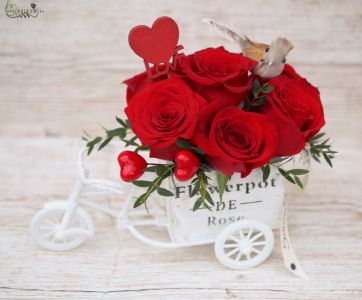 Lovebird rose bycicle (7 stem)