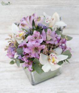 glass cube with white orchids, purple alstromeries