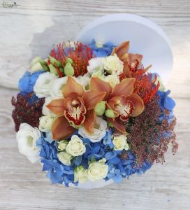 Flowerbox with orchids, hydrangeas, pincushion proteas
