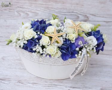 Blaue weiße Blumenschale mit Seesternen