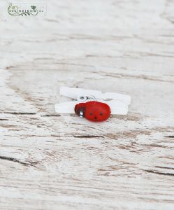 Ladybug tweezers (1 cm)