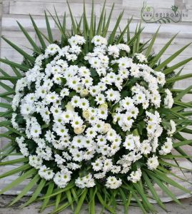 grosser Blumenkranz aus weissen Chrysanthemen und 5 Rosen (1m, 35St)