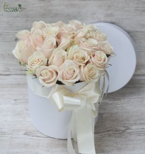 Elegant flower box with cream roses (20 strands)