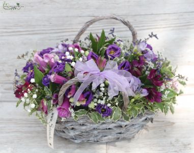 Kosár lila szezonvirágokkal (19 szál)