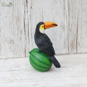 toucan sitting on a watermelon (14cm)