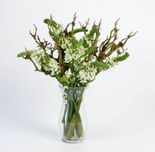 Ornithogalum with branches in vase (11 stems)