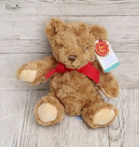 Plush teddy 20cm