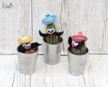 cactus with sombrero 1 piece