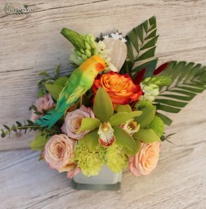 Glaswürfel mit Papagei, Rosen, Orchideen (15 Stiele)