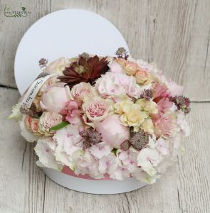 Pastel box with hydrangeas, roses, echevieria