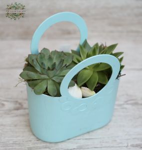 succulent bag