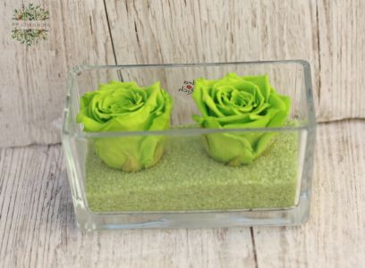 infinity rose (preserved) green, in glass