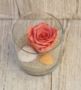 infinity rose (preserved) with seashells, in glass