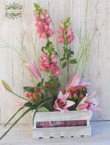 Wooden crate with lilies, snapdragons, color oasis 