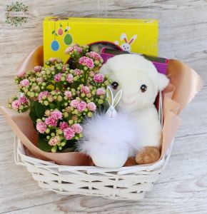 Spring gift basket with chocolates, kalanchoe plant, plush sheep, bunnya