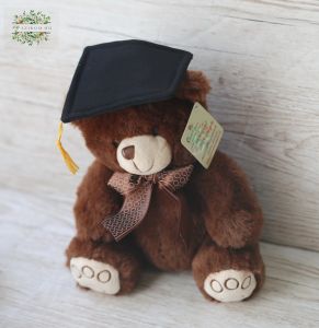 graduation teddy 20cm