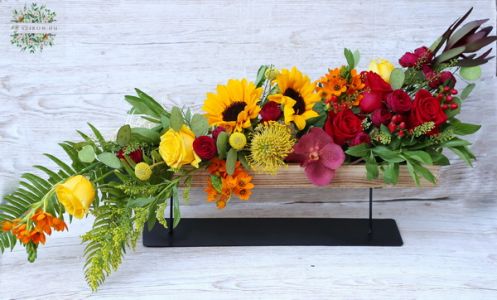 Wooden base with metallic leggs, with an S shaped arrangement