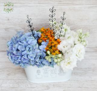 Metallische topf mit Hortensien und Somer Blumen