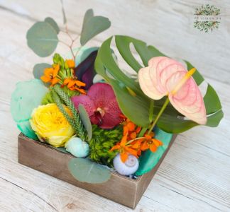 Summer tropical flowers in wooden box