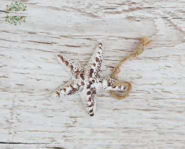 starfish 6cm