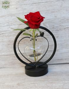 Heart vase with rose