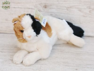 plush multicolored reclining cat (25cm)
